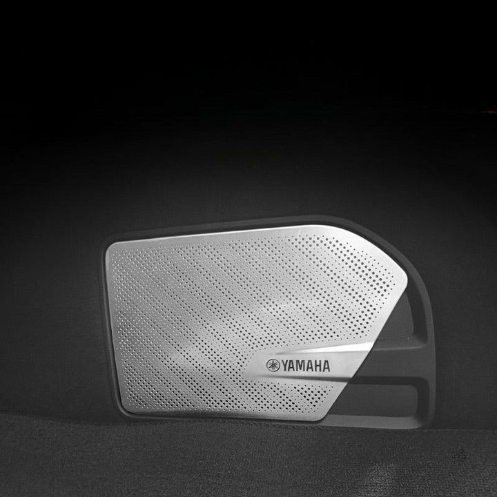 Car Audio Speaker Cover for ZEEKR 001 - Geelyevs