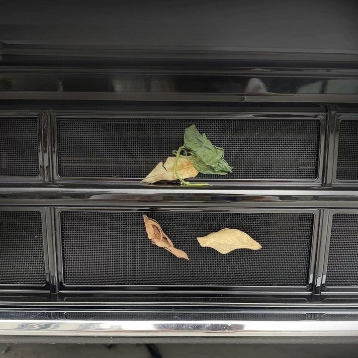 Grille Proof Net for Geely EX2